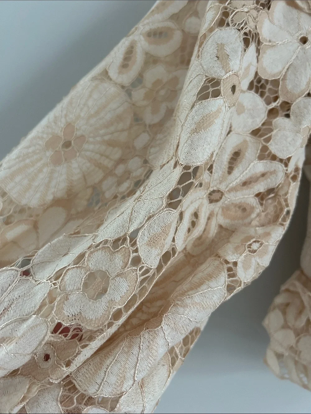 Indikah Beige Floral Lace Ruffle Crop Top Blouse - Picture 4 of 9